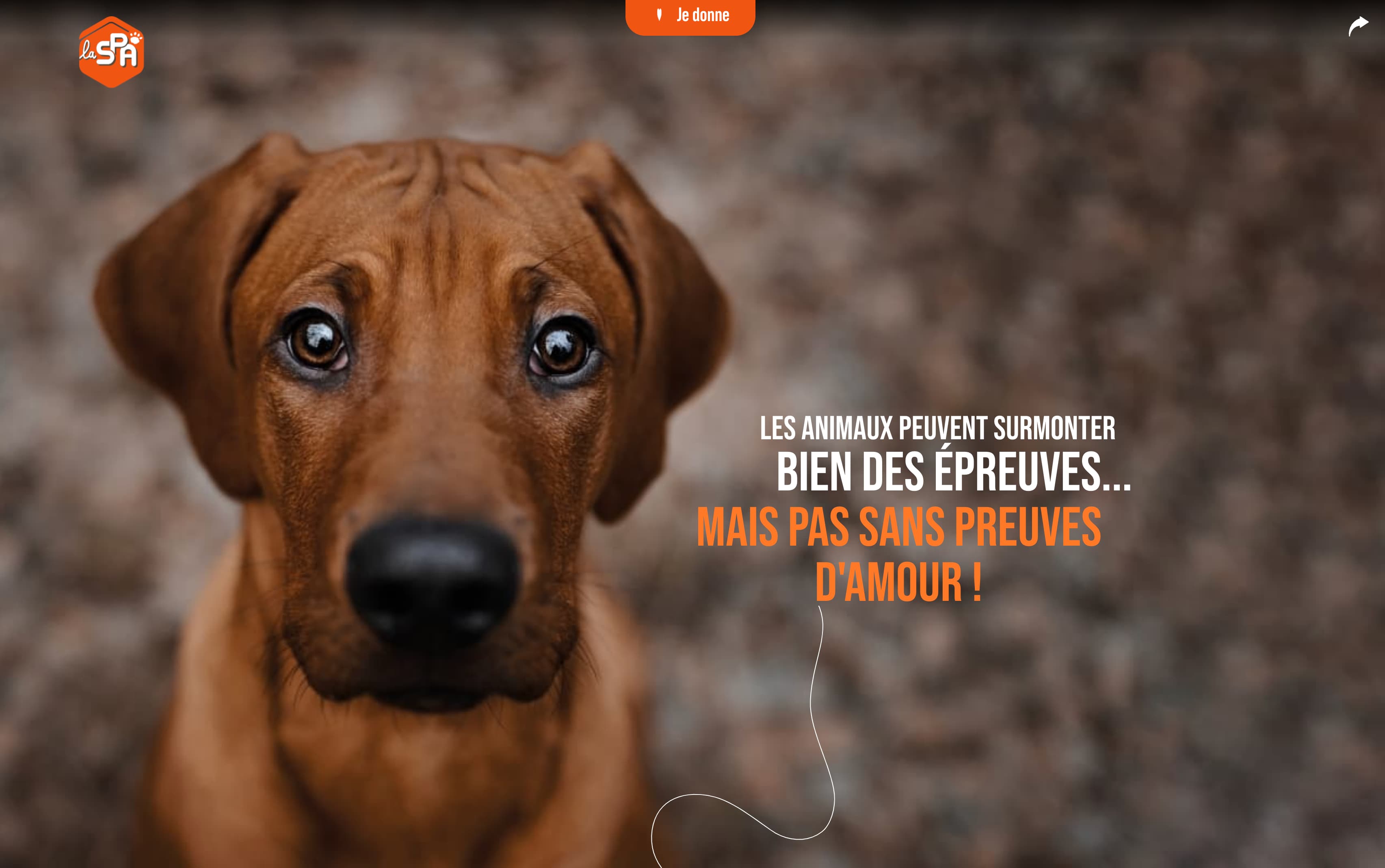 Présentation d'un projet de developpement web